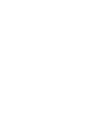 SL Inc